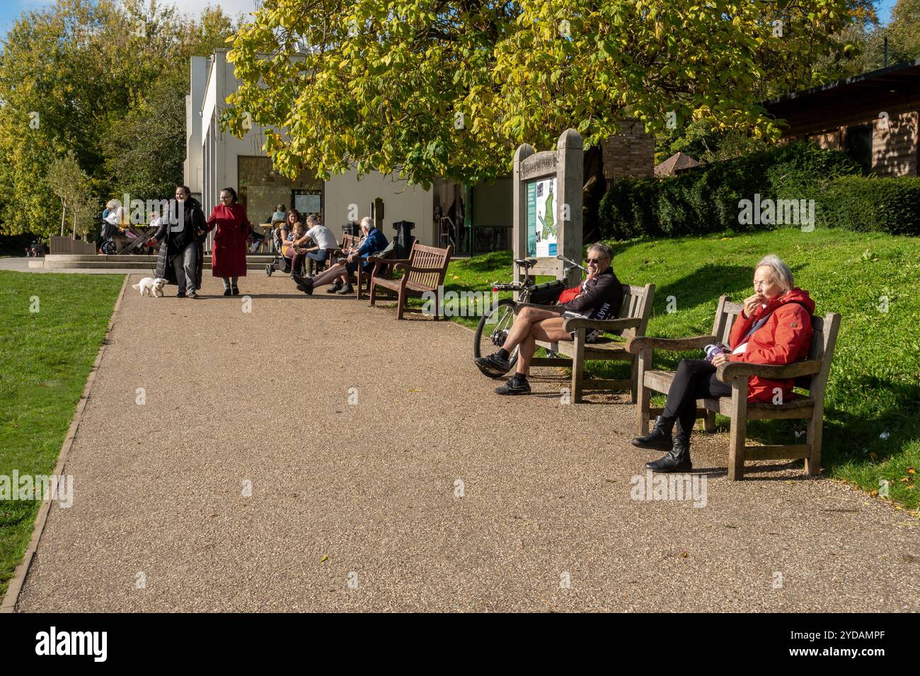 Sole autunnale, nel parco, cani, passeggiate, persone, passeggiate Foto Stock