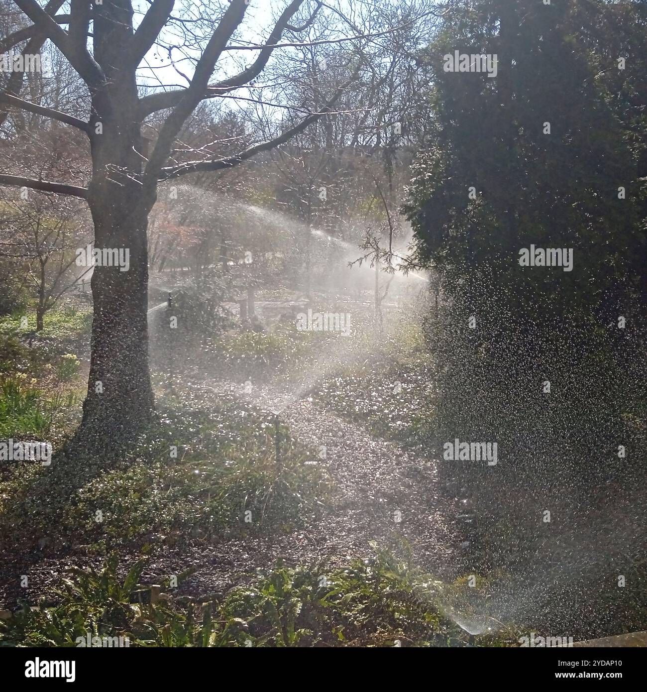 Ecologizzazione urbana con diverse tecniche di lavoro Foto Stock