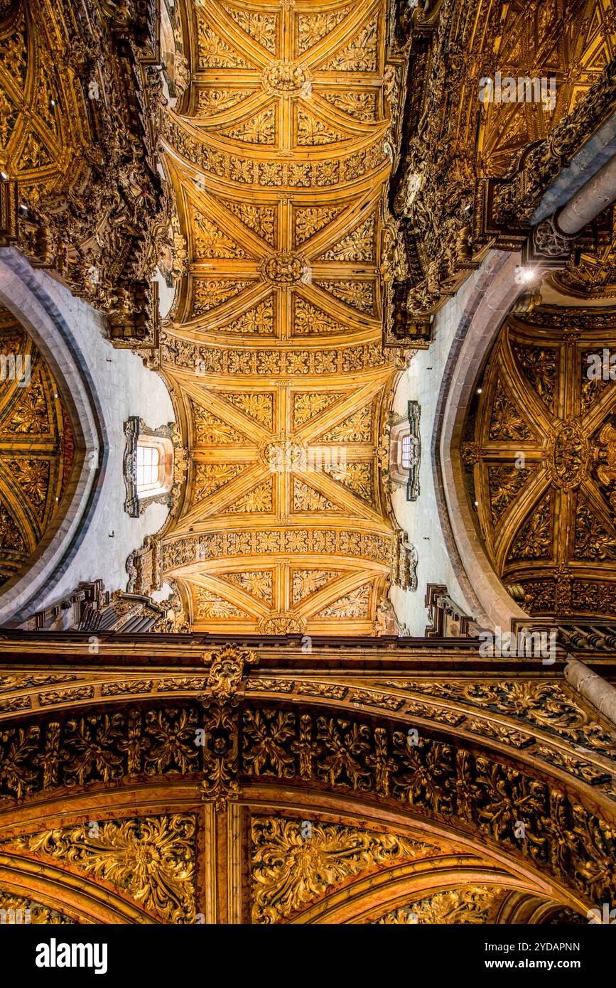 Interno della Chiesa dei sacerdoti (Igreja dos Clerigos), Porto, Portogallo. Foto Stock
