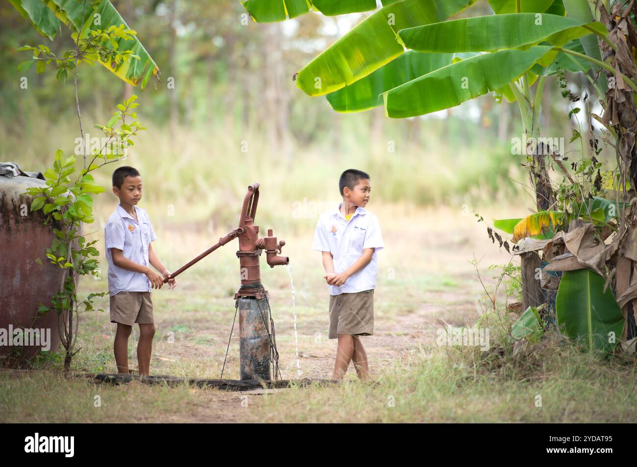 Infanzia nella Thailandia rurale. Un bambino aiuta la sua famiglia pompando acqua naturale in un secchio Foto Stock