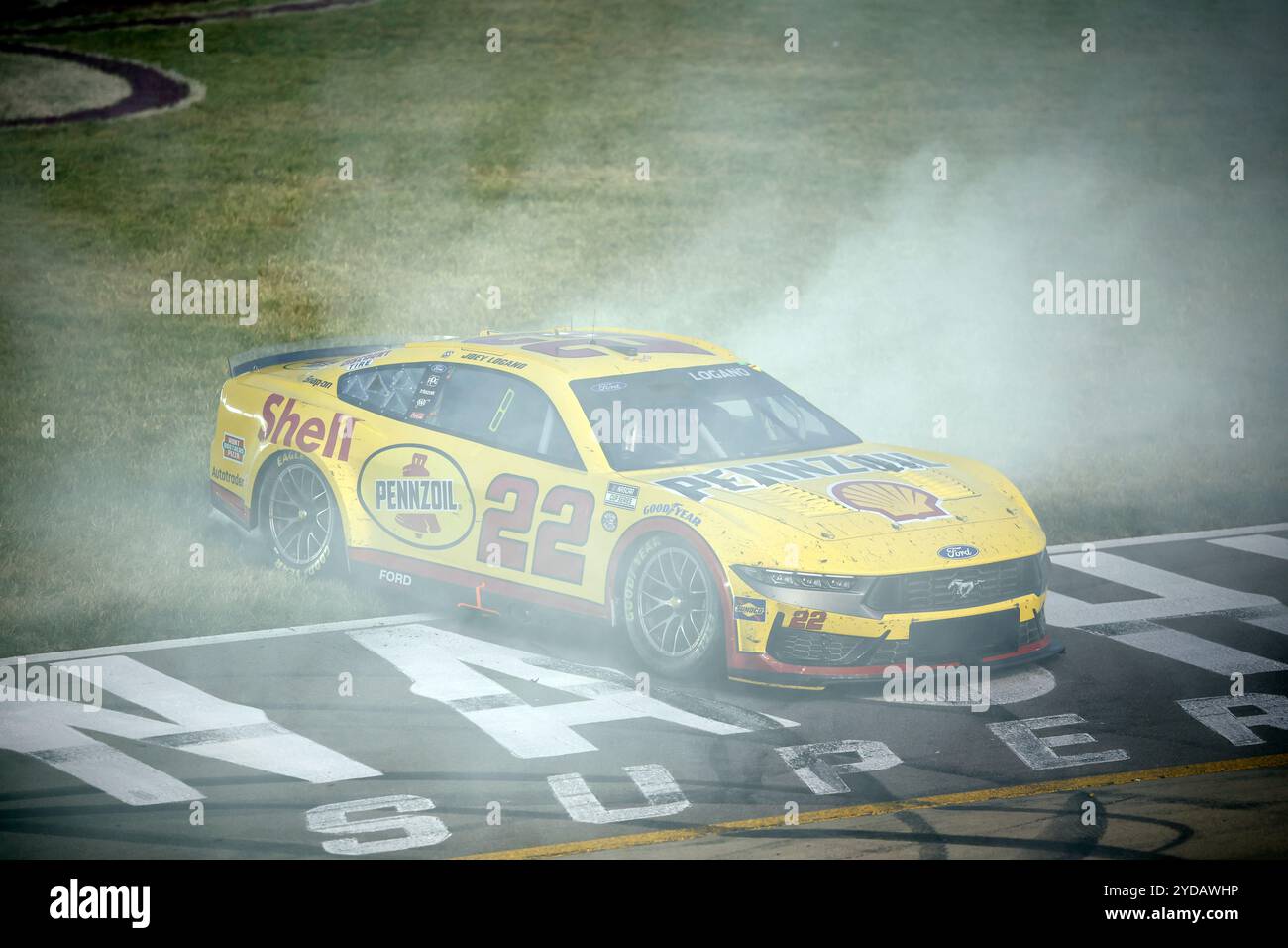 NASCAR Cup Series: Giugno 30 Ally 400 Foto Stock