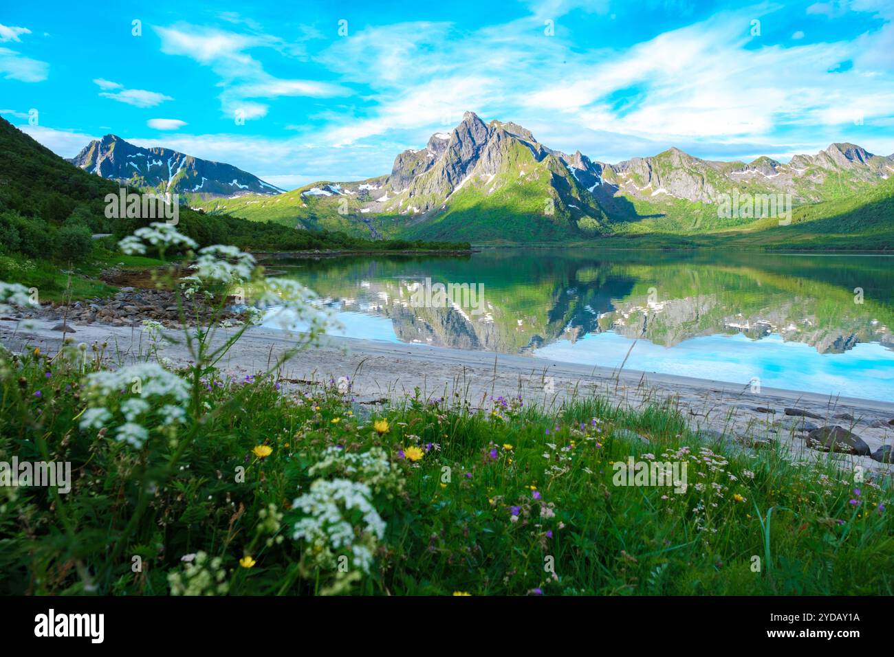 Serene Reflection nelle montagne norvegesi, Lofoten Norvegia Foto Stock