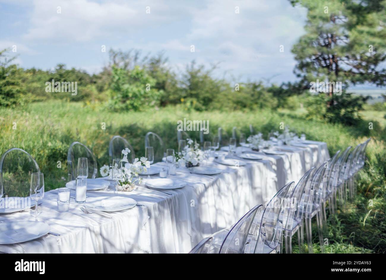 Il tavolo festivo con una tovaglia bianca è decorato con fiori Foto Stock