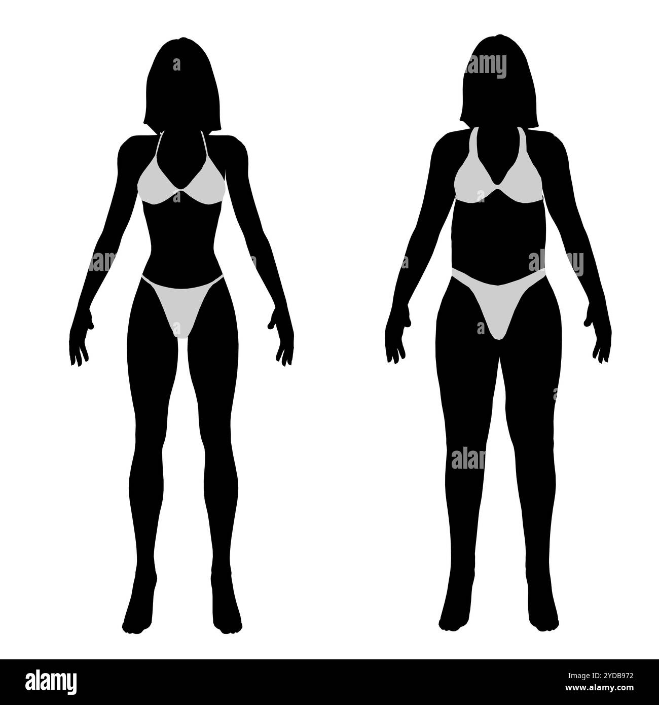 Prima e dopo la perdita di peso silhouette. Una ragazza in sovrappeso sta di fronte a una donna sottile, sottile e in forma. Lifestyle Healthcare Concept carattere posa f Illustrazione Vettoriale