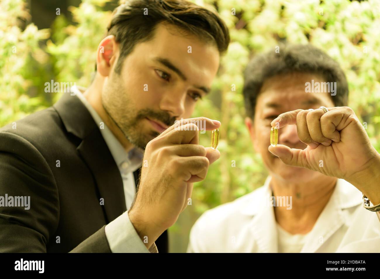 Proprietari di fattorie e scienziati che gestiscono la piantagione di cannabis. Verificare l'integrità dell'olio di cannabis e dei prodotti di cannabis nel CA Foto Stock