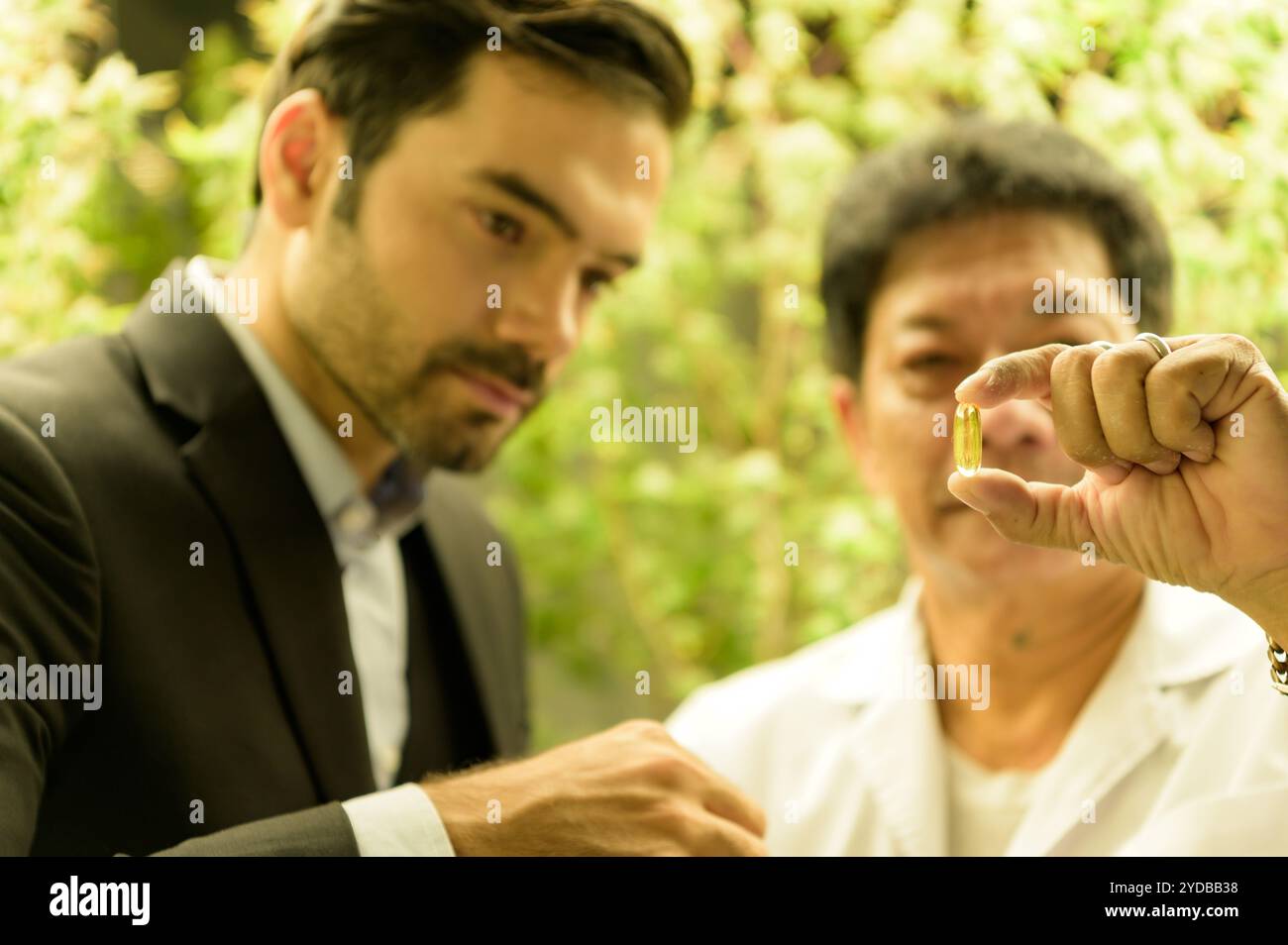 Proprietari di fattorie e scienziati che gestiscono la piantagione di cannabis. Verificare l'integrità dell'olio di cannabis e dei prodotti di cannabis nel CA Foto Stock