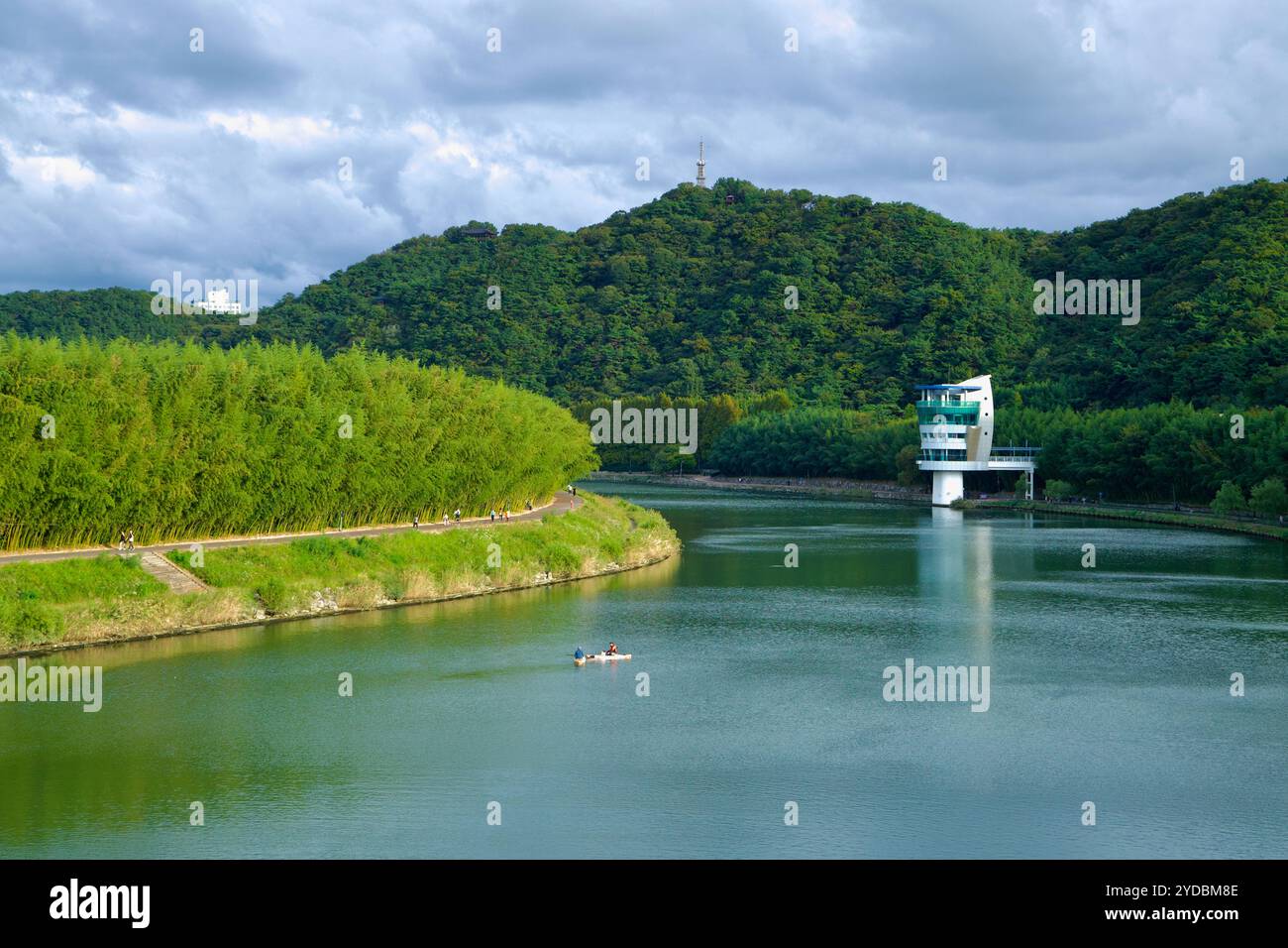 Ulsan, Corea del Sud - 5 ottobre 2024: Una vista panoramica dei kayak sul fiume Taehwa, con l'Osservatorio Taehwagang e lussureggianti boschetti di bambù che costeggiano t Foto Stock