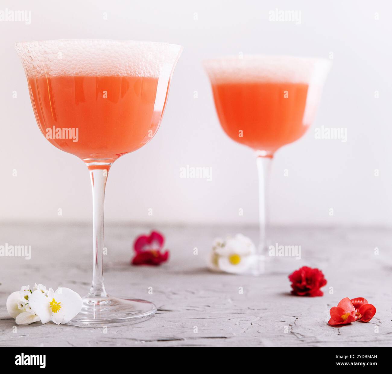 Cocktail alcolico Mimosa con succo d'arancia e champagne secco Foto Stock