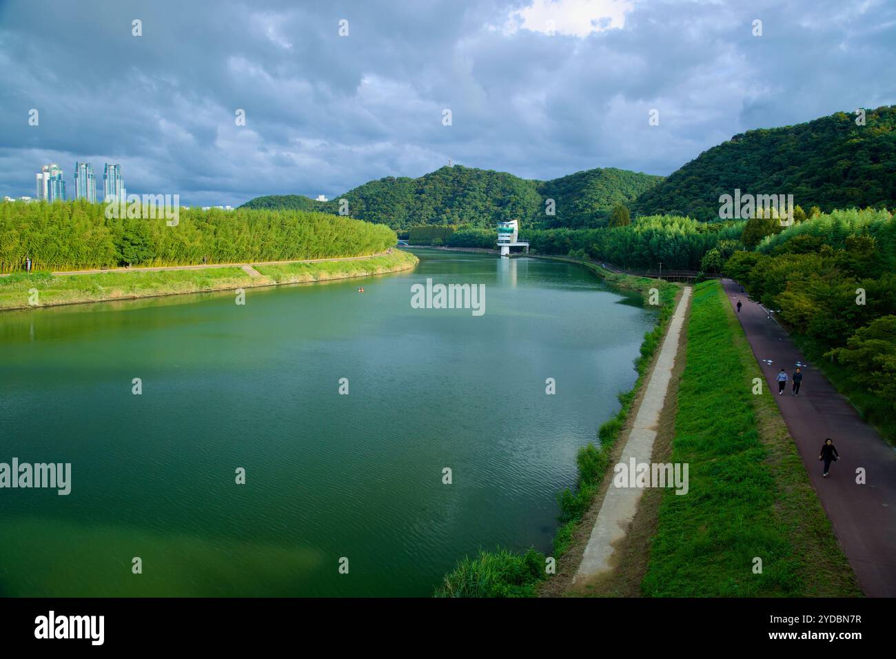 Ulsan, Corea del Sud - 5 ottobre 2024: Sentieri panoramici per passeggiate a piedi e in bicicletta si snodano lungo il tranquillo fiume Taehwa, incorniciato da lussureggianti boschetti di bambù e colline Foto Stock