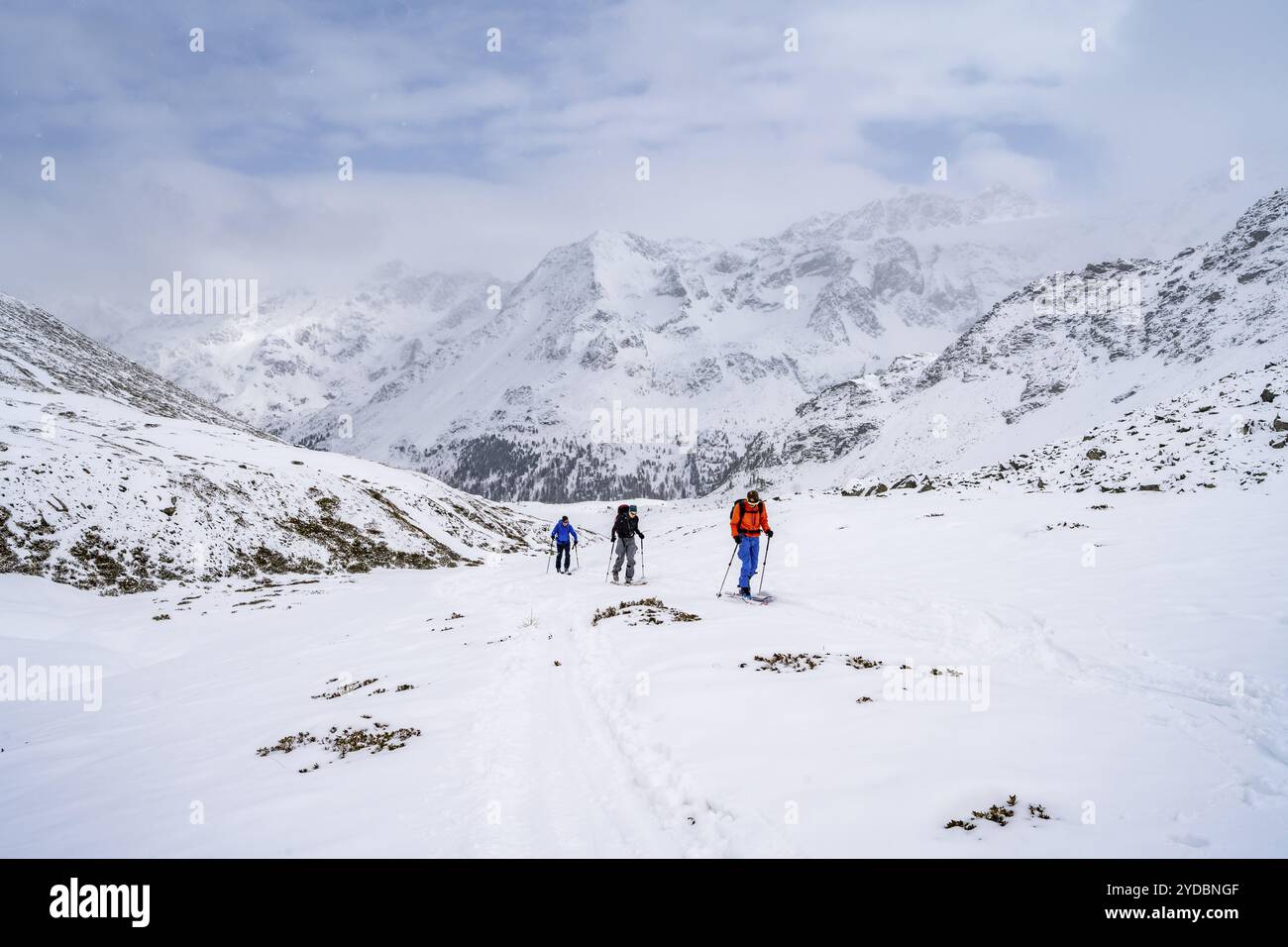 Tre sciatori che si arrampicano sul Madritschspitze, paesaggi innevati, Alpi Ortler, Val Venosta, Italia, Europa Foto Stock