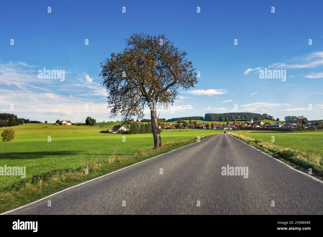 Strada di campagna, prati e boschi, cielo blu vicino a Leutkirch, Allgaeu, Baviera, Germania, Europa Foto Stock