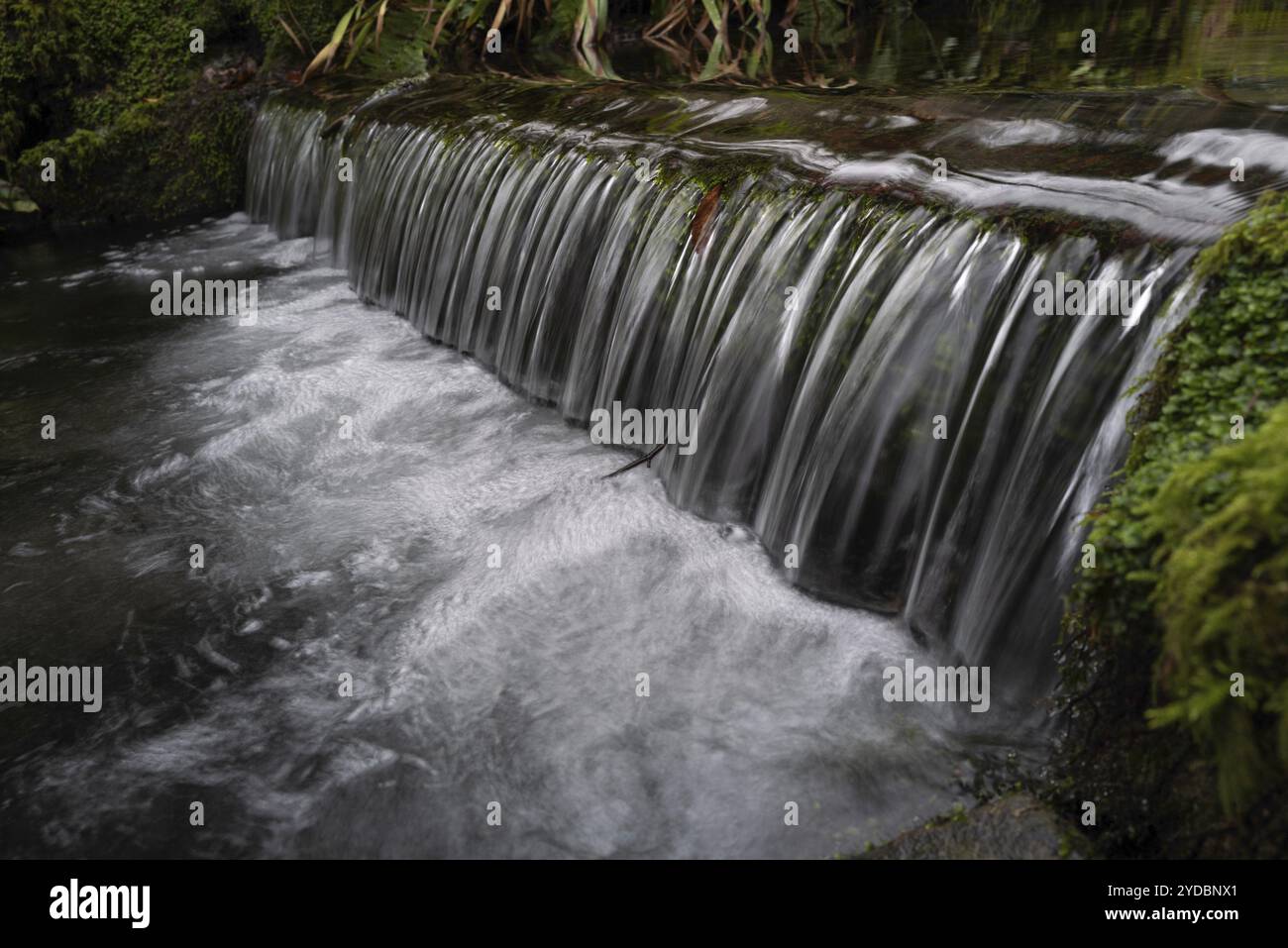L'acqua scorre in una giornata fredda al Tobernalt Holy Well e alla grotta vicino a Sligo sulla Wild Atlantic Way. Sligo, Irlanda, Europa Foto Stock