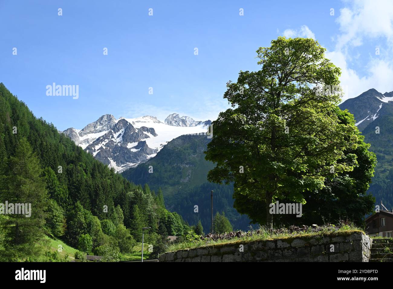 Vista da Trento all'Aiguille du Tour Foto Stock