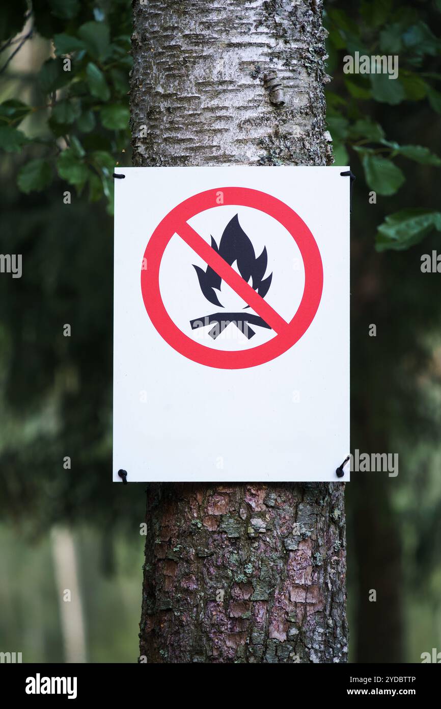 Nessun segno di fuoco aperto su un albero, chiuda Foto Stock