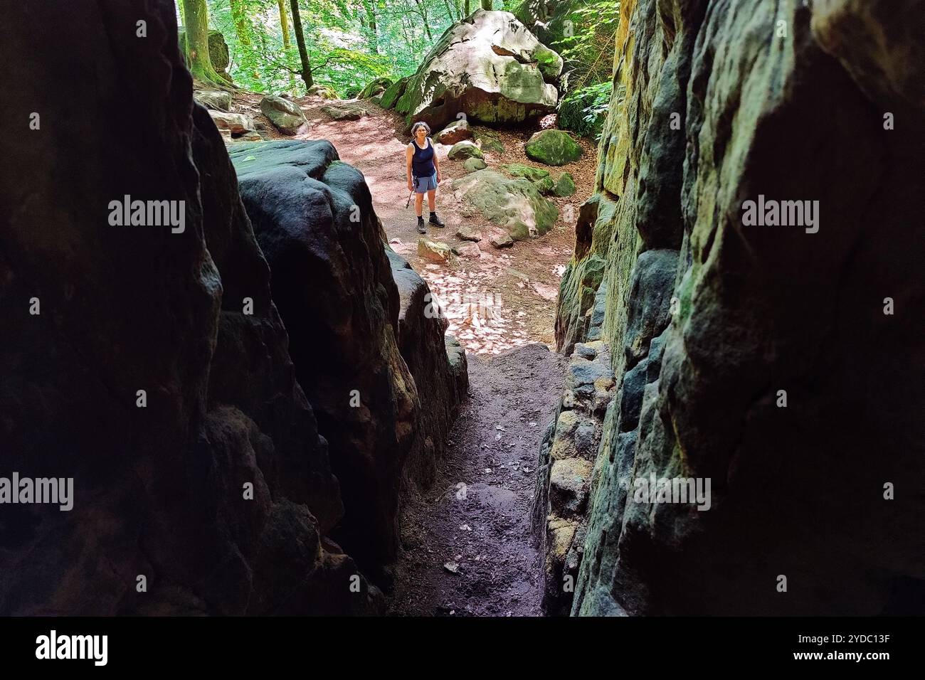 Vista da un crepaccio sul sentiero escursionistico devil's Eight, Parco naturale Suedeifel, Irrel, Eifel, Germania Foto Stock
