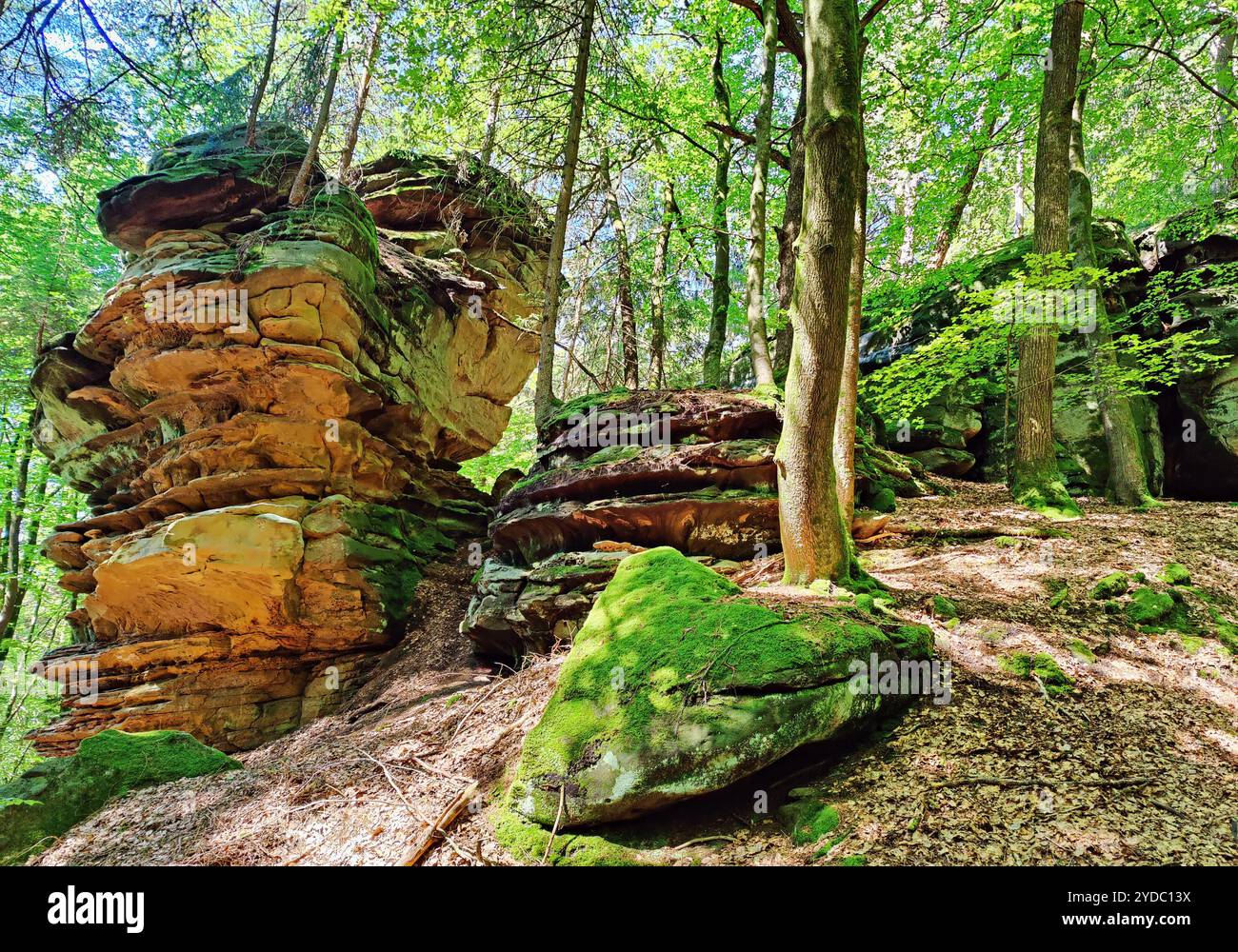 Bizzarri paesaggi rocciosi nel Parco naturale dell'Eifel meridionale, Bollendorf, Eifel, Germania, Europa Foto Stock