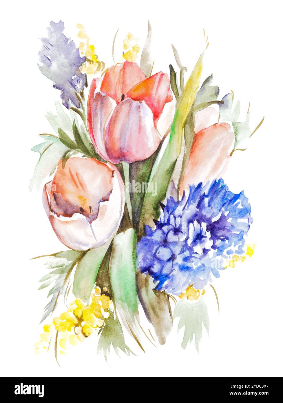 Bouquet di tulipani acquerello isolato su sfondo bianco Foto Stock
