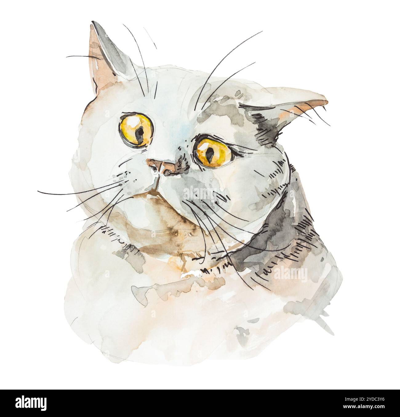 Acquerello disegnata a mano di illustrazione della triste carino piccolo gatto. Acquerello disegnata a mano Foto Stock