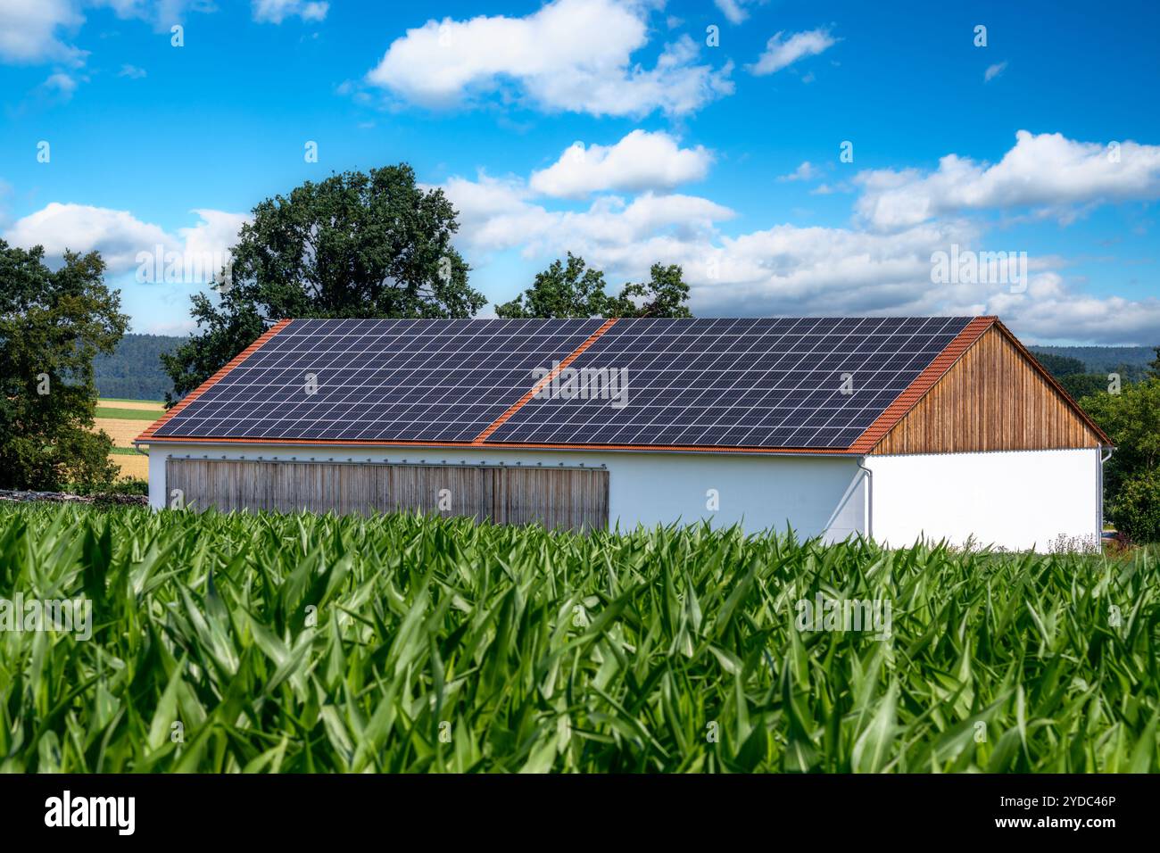 Energia Verde con collettori solari sul tetto di un edificio agricolo Foto Stock