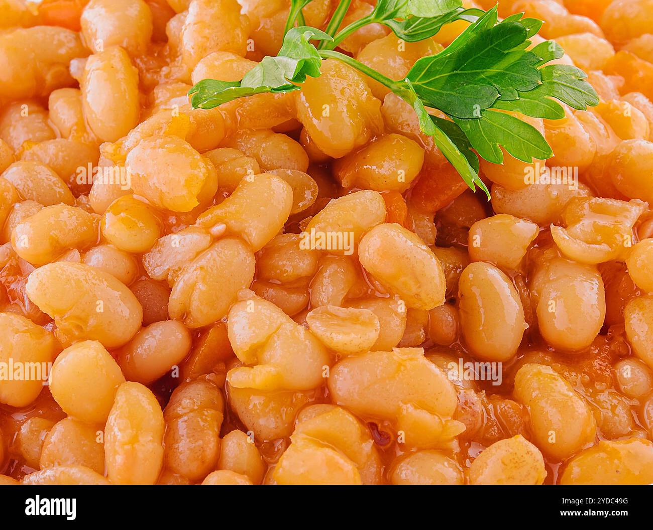 Fagioli bolliti con pomodoro e spezie da vicino Foto Stock