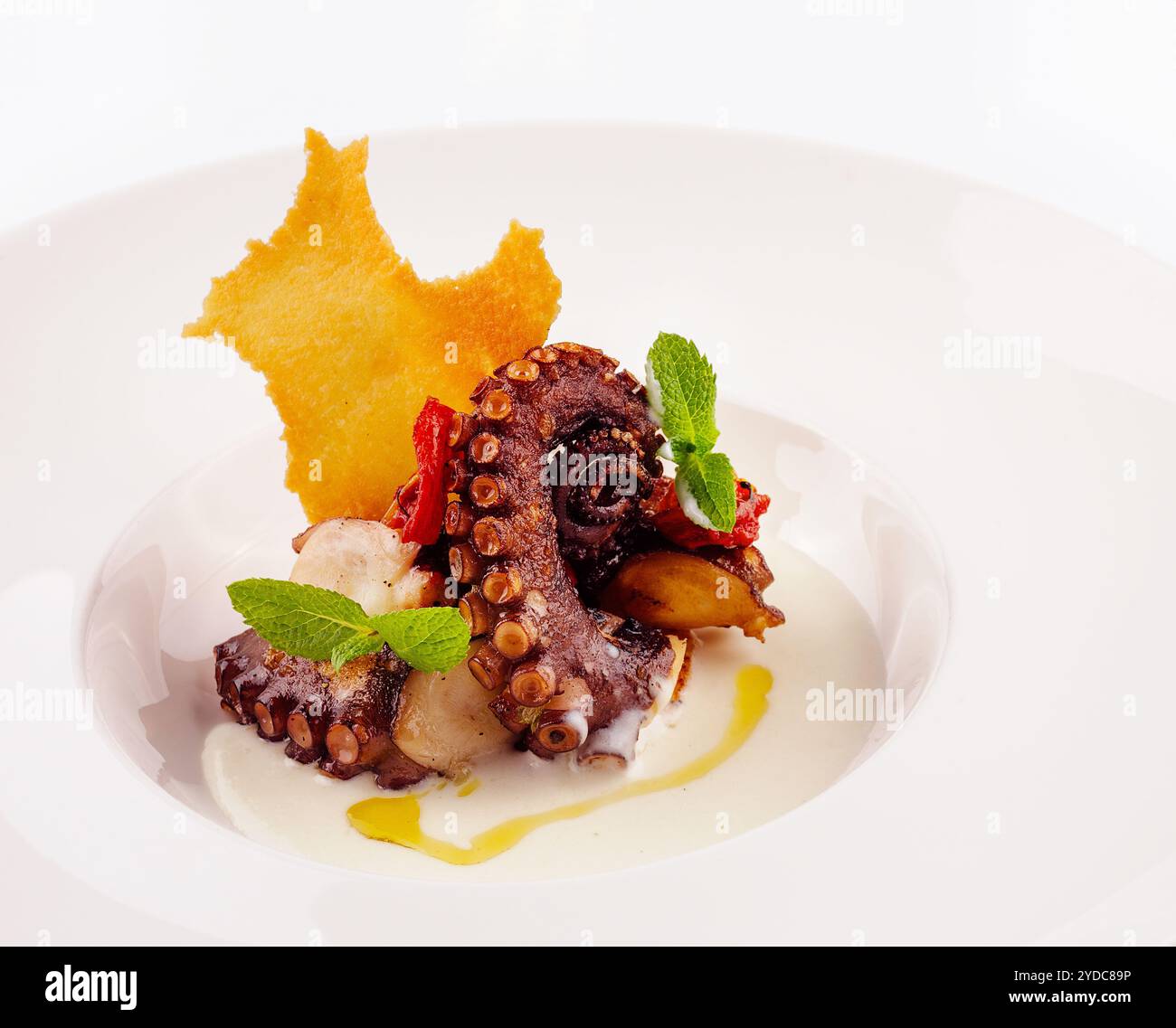 Polpo grigliato sul piatto bianco Foto Stock