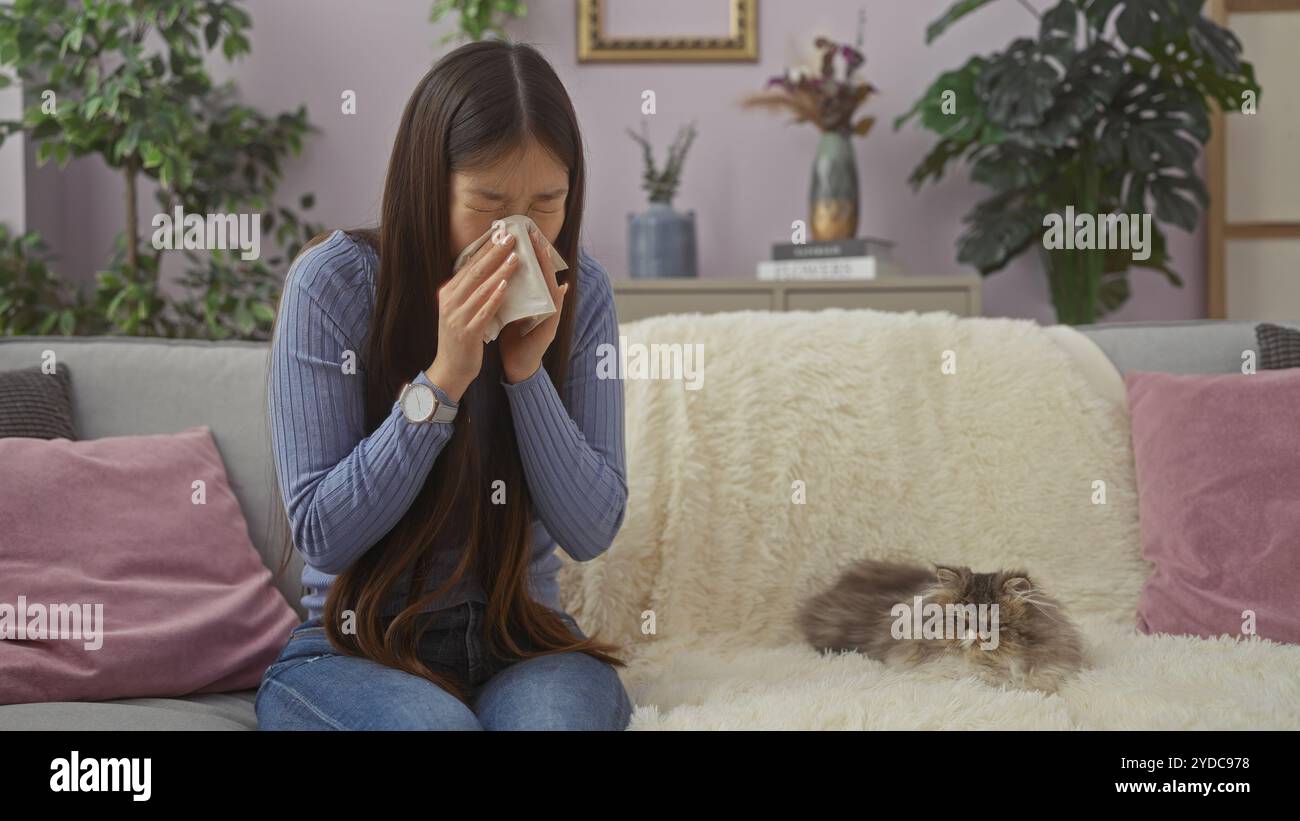 Giovane donna asiatica starnuti in un tessuto mentre si siede su un divano in un accogliente salotto accanto al suo soffice gatto persiano. Foto Stock