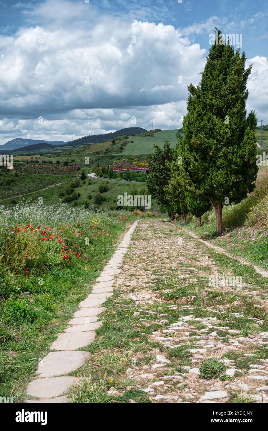 Vecchia strada romana in pietra appena fuori dal villaggio di Cirauqui, nel nord della Spagna Foto Stock