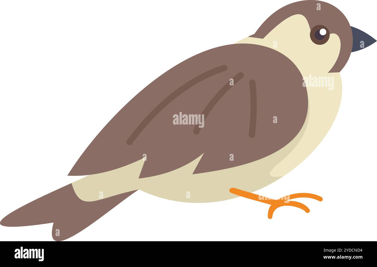Piccolo uccello marrone e grigio con becco corto in piedi a terra Illustrazione Vettoriale