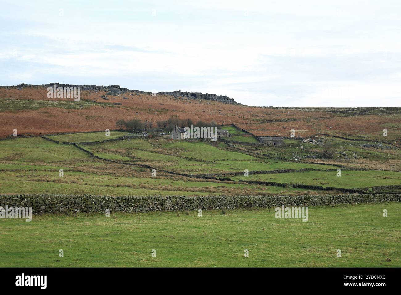 Dale, Hathersage, Peak District National Park, Derbyshire, Inghilterra Foto Stock