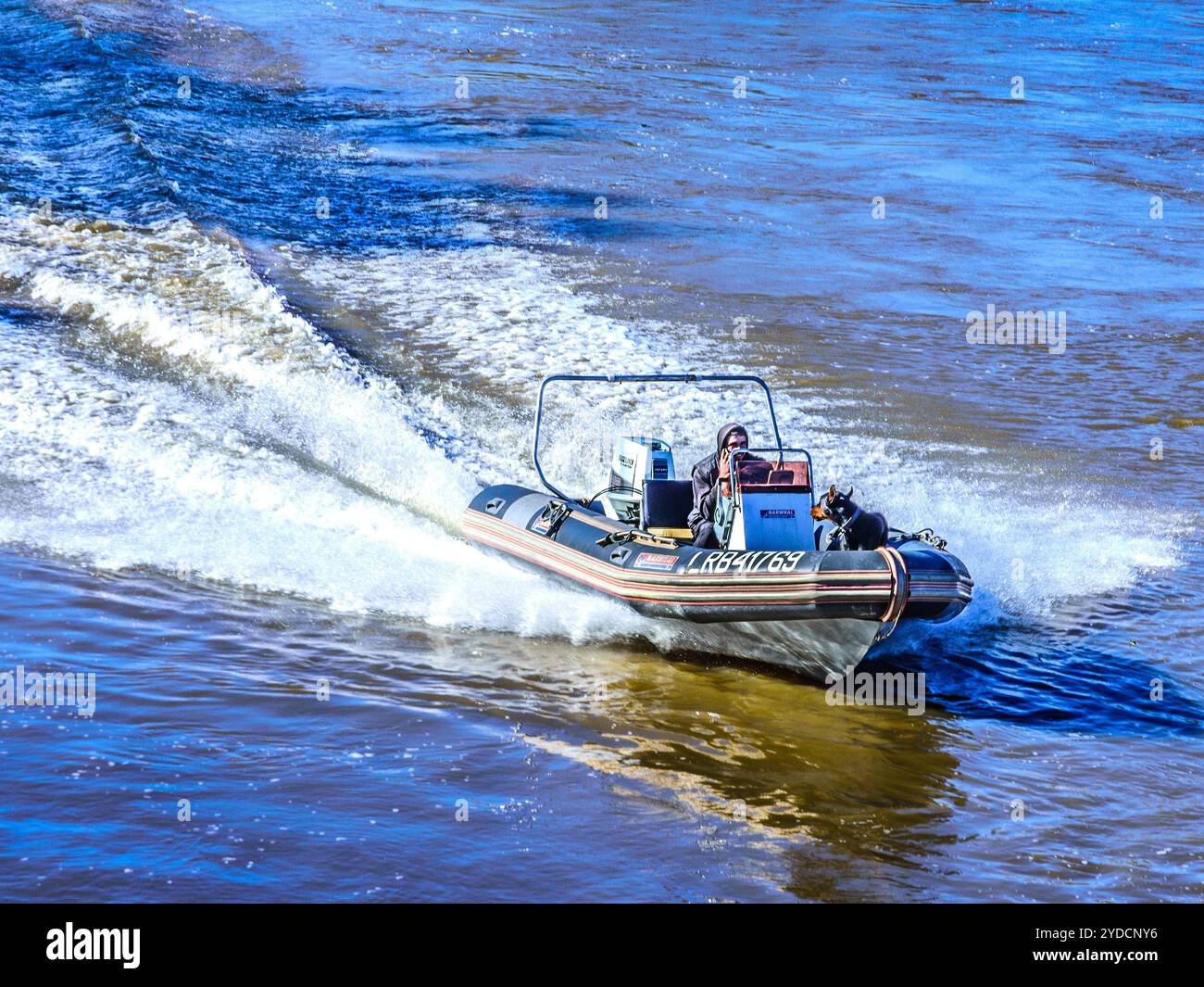 Motoscafo gonfiabile rigido Narwhal con motore fuoribordo Suzuki in velocità lungo il fiume Loira - Tours, Indre-et-Loire (37), Francia. Foto Stock
