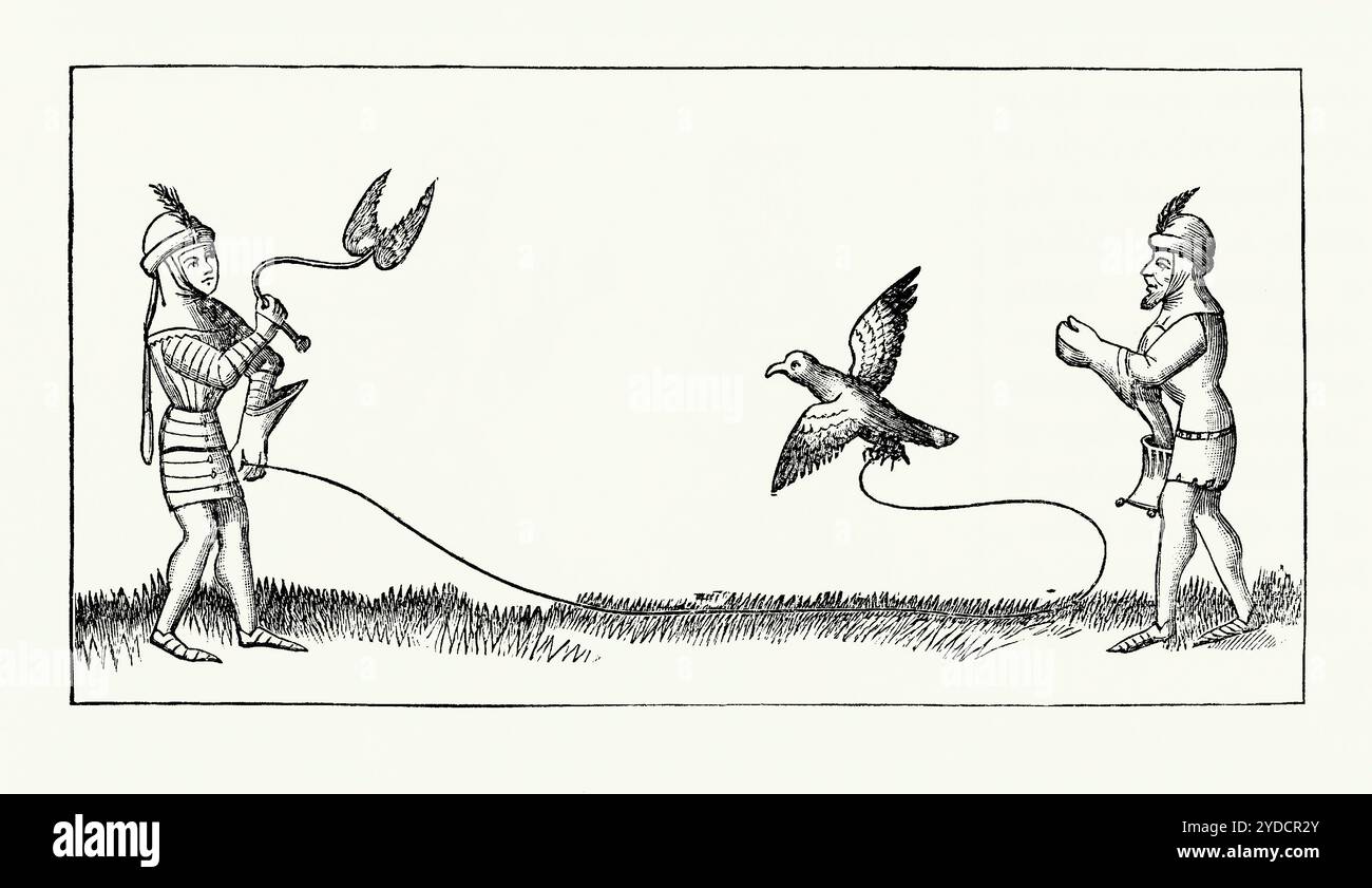 Una vecchia incisione di uomini che addestrano un falco usando un richiamo, Inghilterra, Regno Unito in epoca medievale. È tratto da un libro di storia vittoriana del 1900 circa. Qui il falconer fa oscillare l'esca su una corda o una linea per inseguire il falco per esercitarsi e fare pratica. Un richiamo era solitamente fatto di pelle con un paio di ali di uccelli o piume attaccate. Spesso è un'effigie di una cava di falco. Il volo di richiamo includeva la linea corta, la linea lunga e il richiamo di palo. Un richiamo può anche essere usato come oggetto per chiamare il falco, il falco o l'aquila a tornare. Foto Stock