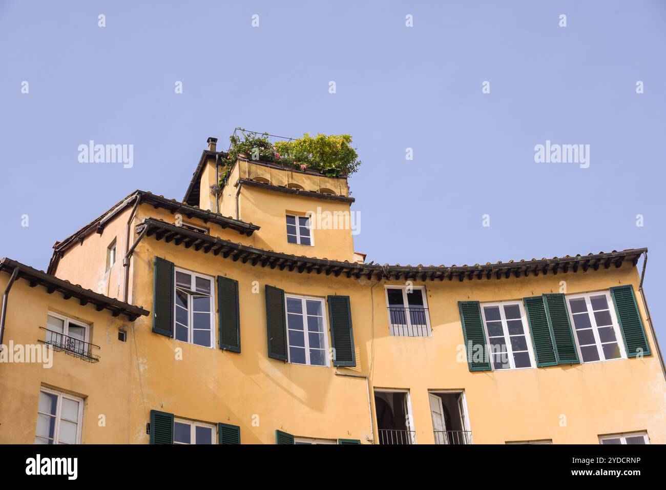 Lucca: Terrazza su Piazza Anfiteatro Foto Stock