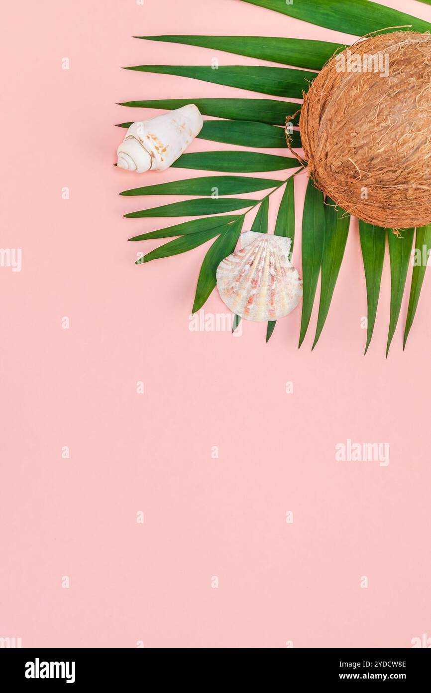 Foglie di palma e noci di cocco su sfondo rosa pastello Foto Stock
