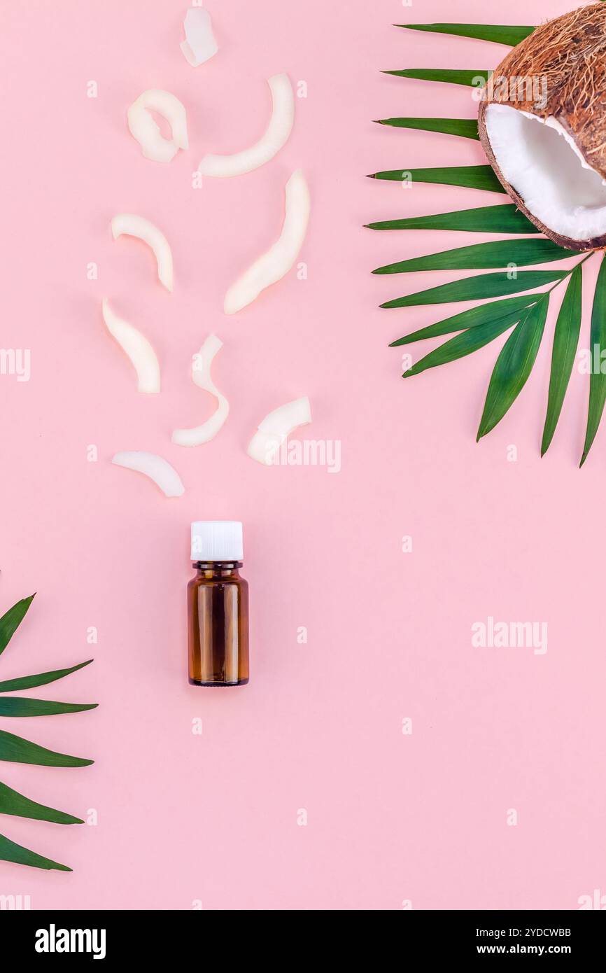 Foglie di palma e noci di cocco su sfondo rosa pastello Foto Stock