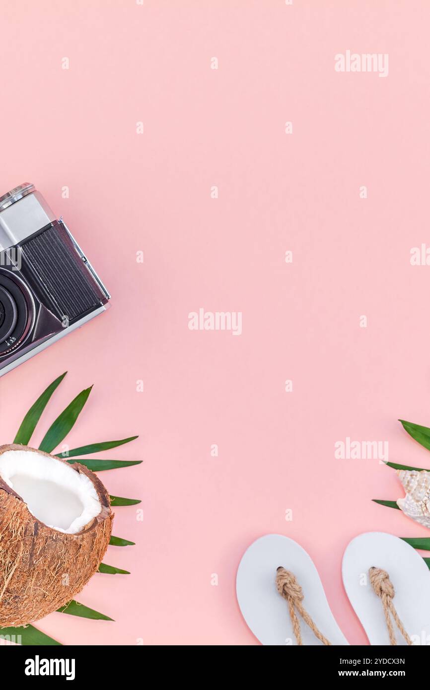 Foglie di palma e noci di cocco su sfondo rosa pastello Foto Stock