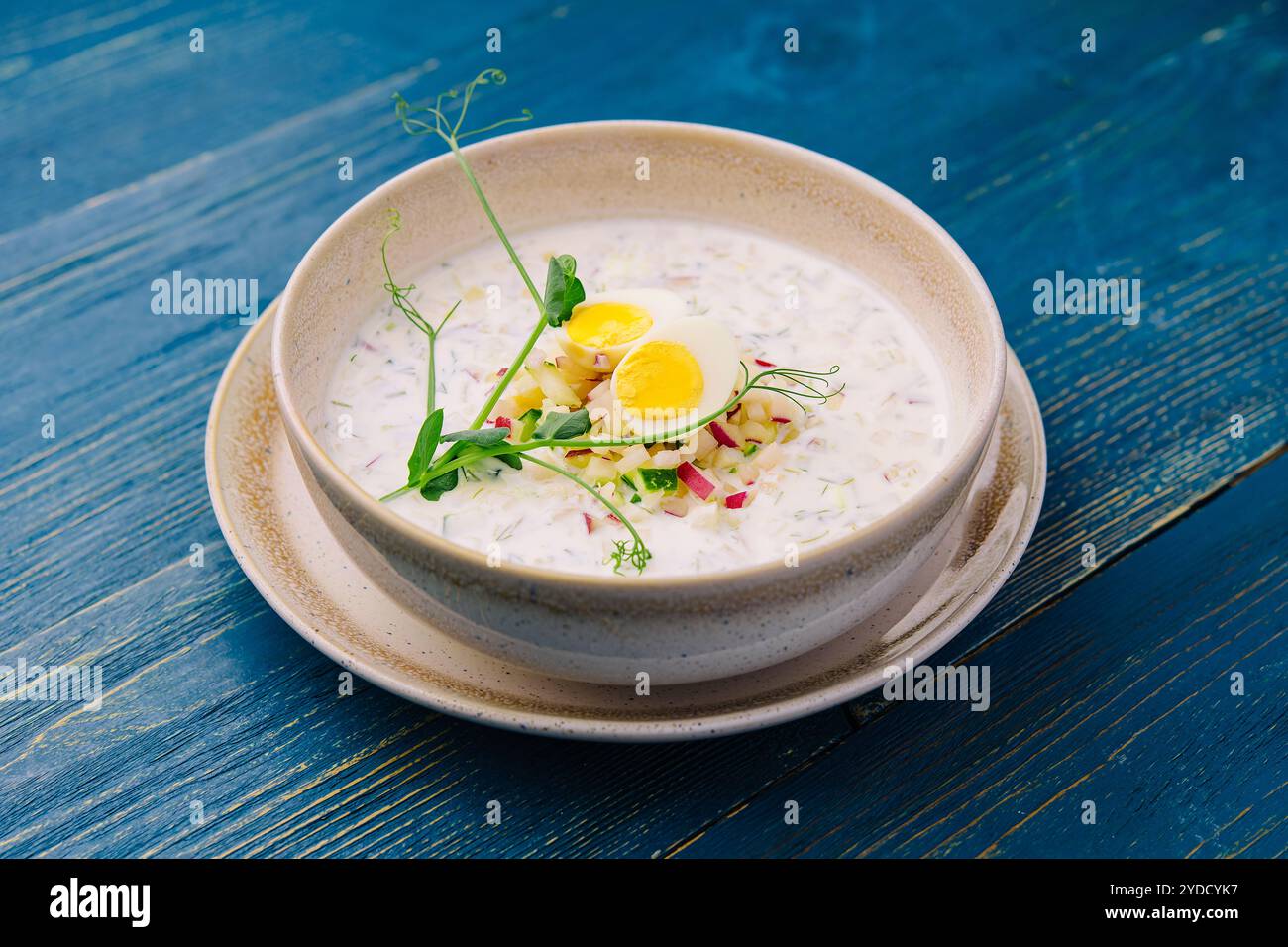 Zuppa di yogurt freddo estivo su tavola di legno Foto Stock