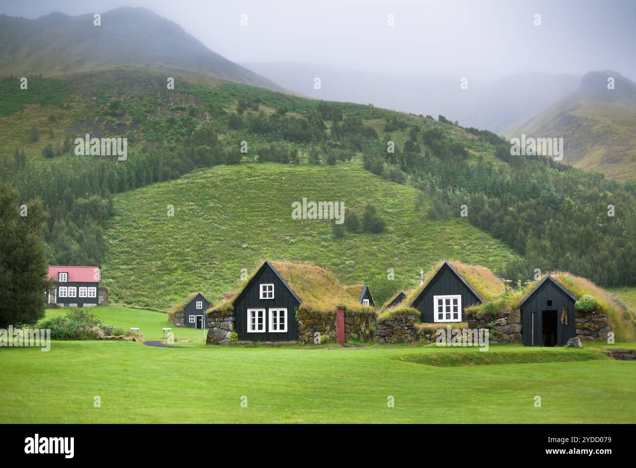 Case rurali islandesi sovrastate Foto Stock