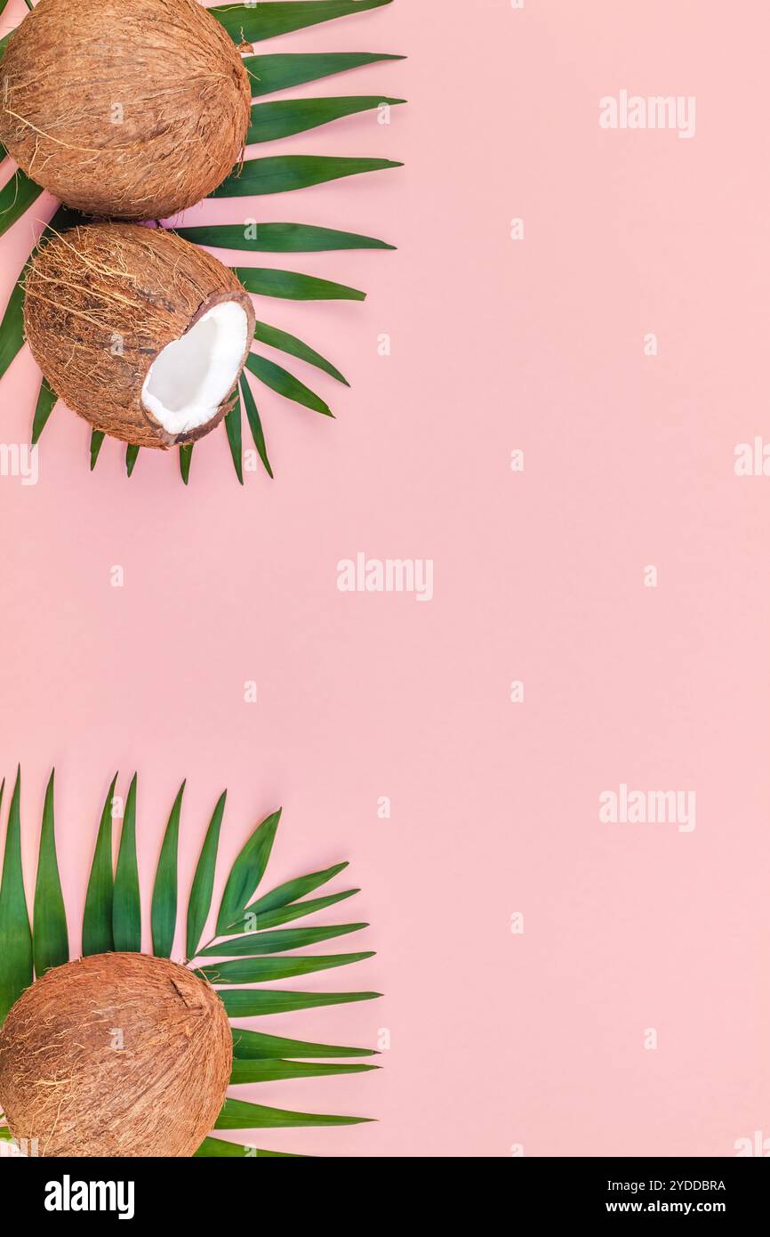 Foglie di palma e noci di cocco su sfondo rosa pastello Foto Stock
