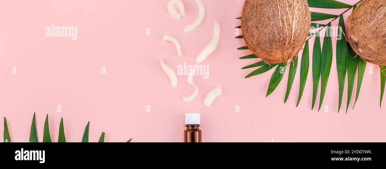 Foglie di palma e noci di cocco su sfondo rosa pastello Foto Stock