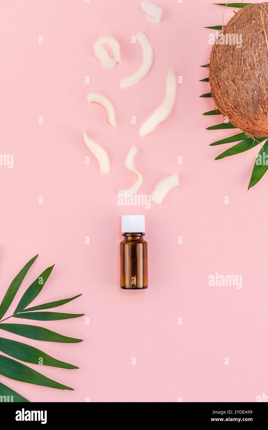 Foglie di palma e noci di cocco su sfondo rosa pastello Foto Stock