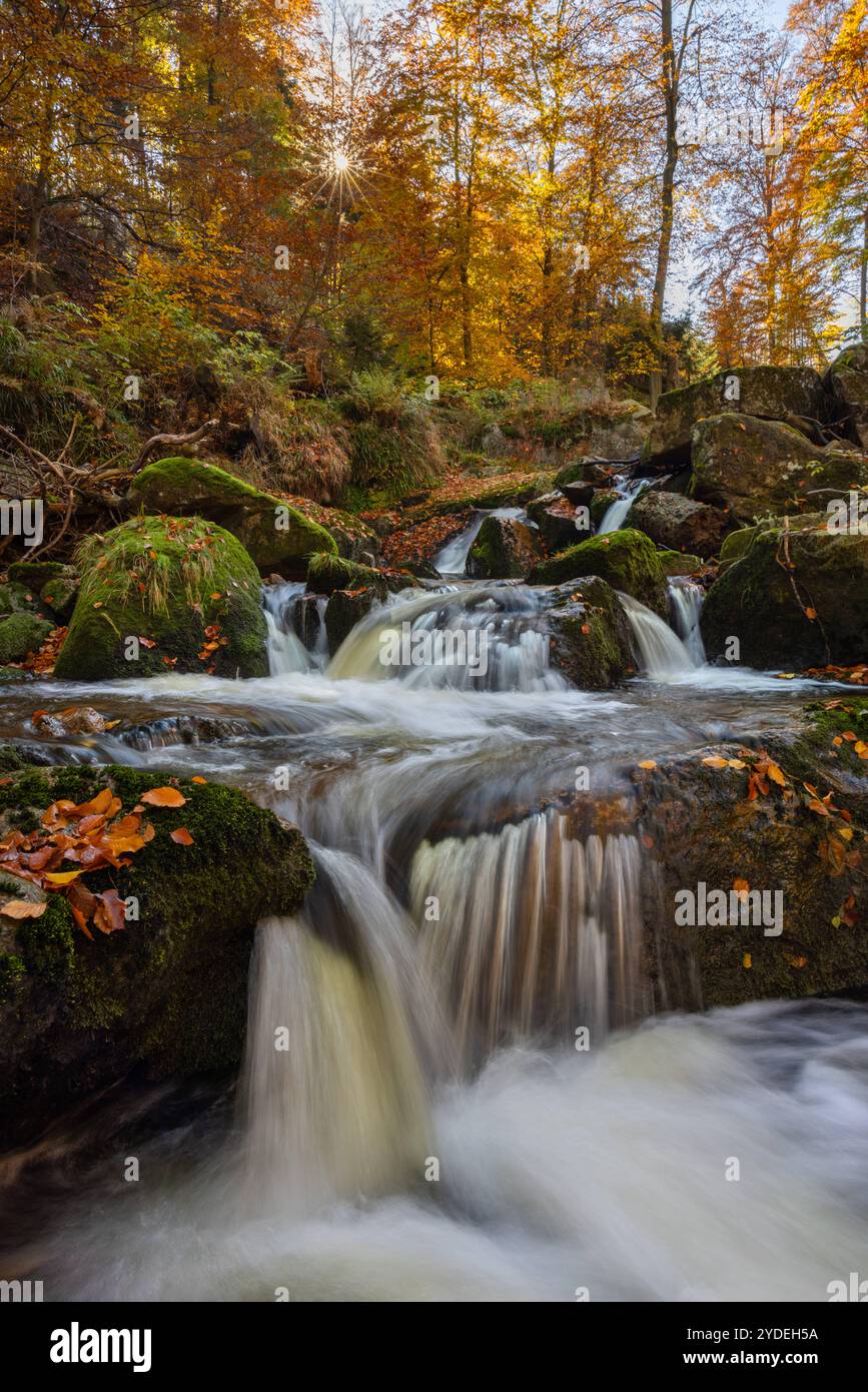 Europa Deutschland Sachsen-Anhalt Harz Oberharz: Fliessendes Wasser der Ilse bei Ilsenburg *** Europa Germania Sassonia Anhalt Harz Upper Harz Flowing wa Foto Stock