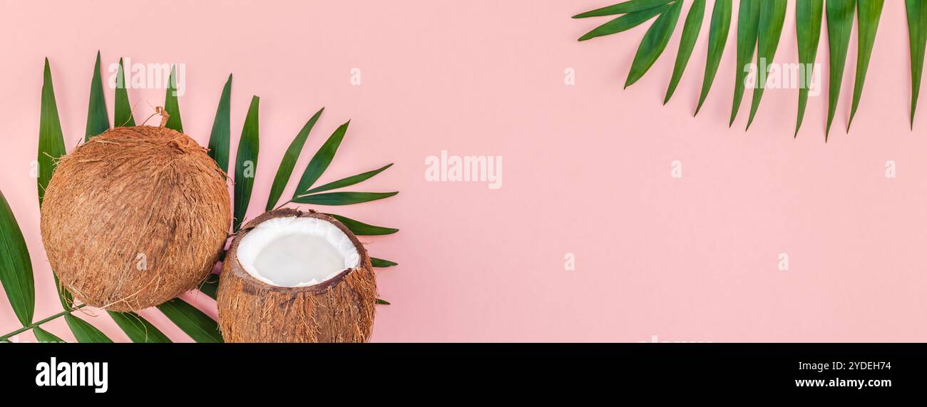 Foglie di palma e noci di cocco su sfondo rosa pastello Foto Stock
