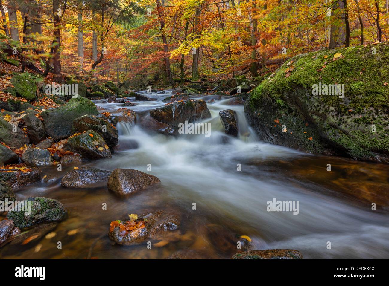 Europa Deutschland Sachsen-Anhalt Harz Oberharz: Fliessendes Wasser der Ilse bei Ilsenburg *** Europa Germania Sassonia Anhalt Harz Upper Harz Flowing wa Foto Stock