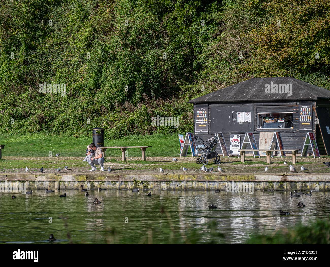 Un uomo e un bambino ai margini del lago Swanbourne, Arundel che guarda gli uccelli e i cigni Foto Stock