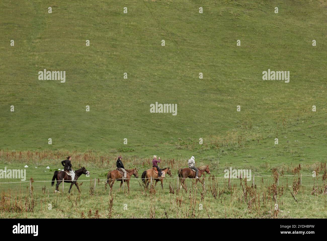 quattro cavalieri a cavallo che si muovono piacevolmente su un'ampia collina verde. I motociclisti sono divisi in una linea, vestiti con calore Foto Stock