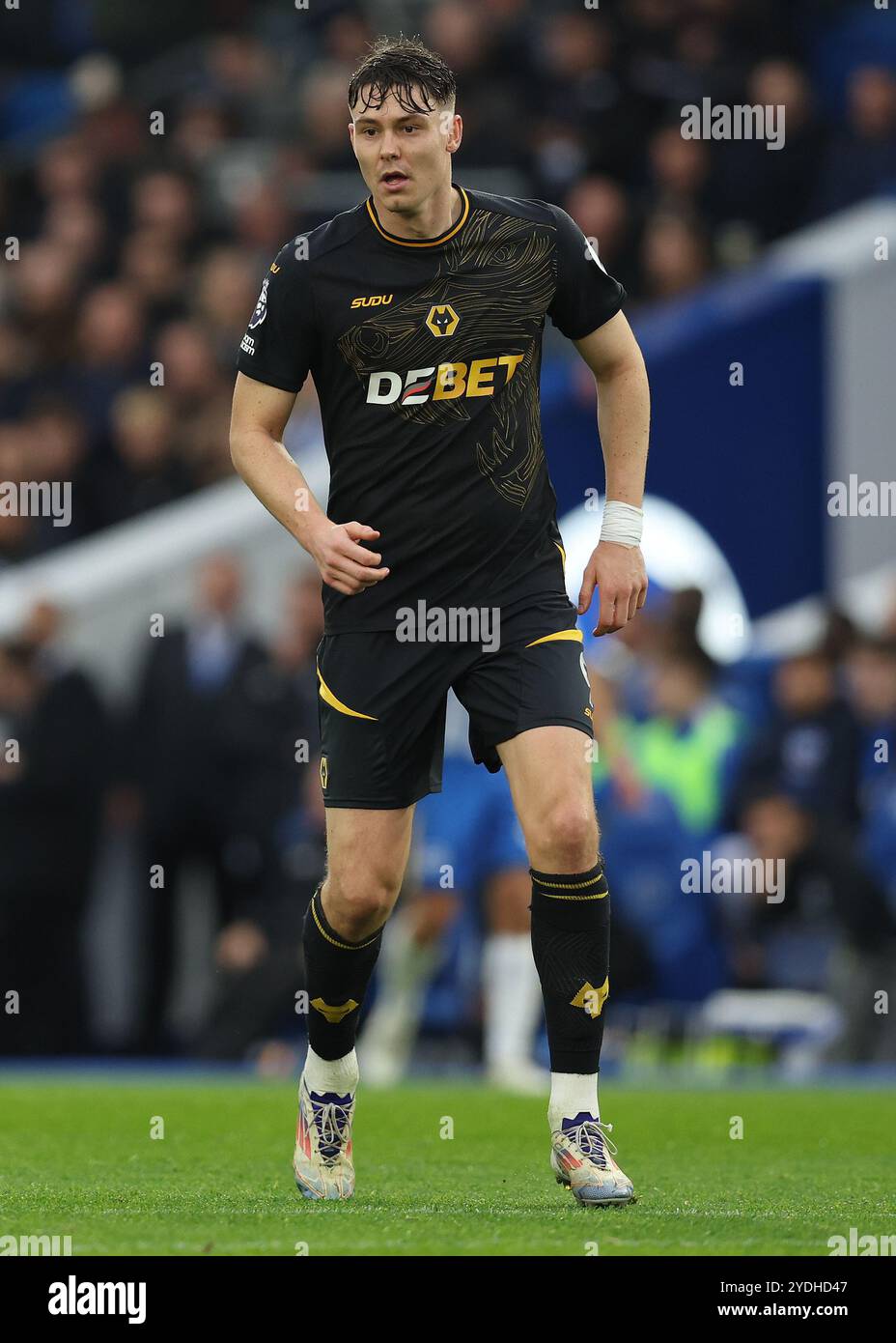 Brighton e Hove, Regno Unito. 26 ottobre 2024. Jorgen Strand Larsen dei Wolverhampton Wanderers durante la partita di Premier League all'AMEX Stadium di Brighton e Hove. Il credito per immagini dovrebbe essere: Paul Terry/Sportimage Credit: Sportimage Ltd/Alamy Live News Foto Stock