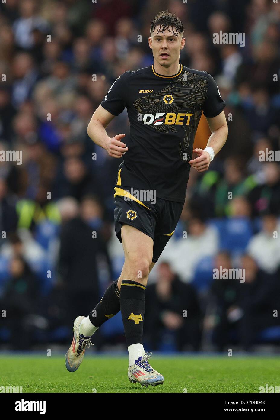 Brighton e Hove, Regno Unito. 26 ottobre 2024. Jorgen Strand Larsen dei Wolverhampton Wanderers durante la partita di Premier League all'AMEX Stadium di Brighton e Hove. Il credito per immagini dovrebbe essere: Paul Terry/Sportimage Credit: Sportimage Ltd/Alamy Live News Foto Stock