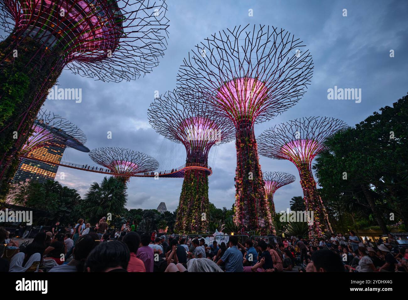 Singapore - 14 agosto 2024: Persone in attesa di uno spettacolo di luci sugli alberi giganti al Garden by the Bay di notte a Singapore Foto Stock