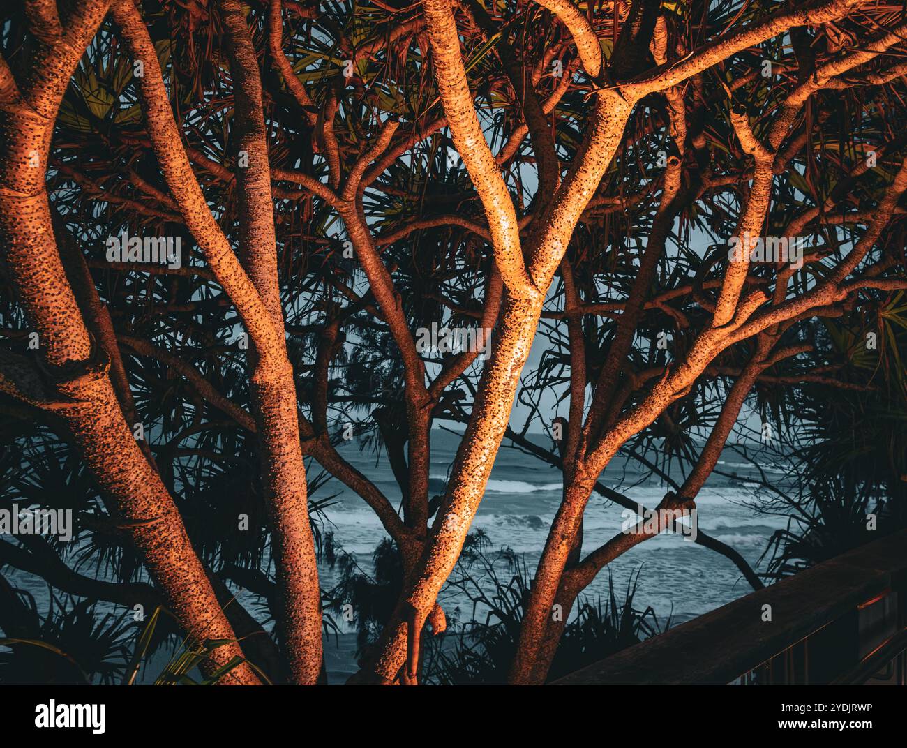 Alba a The Beach Australia Foto Stock