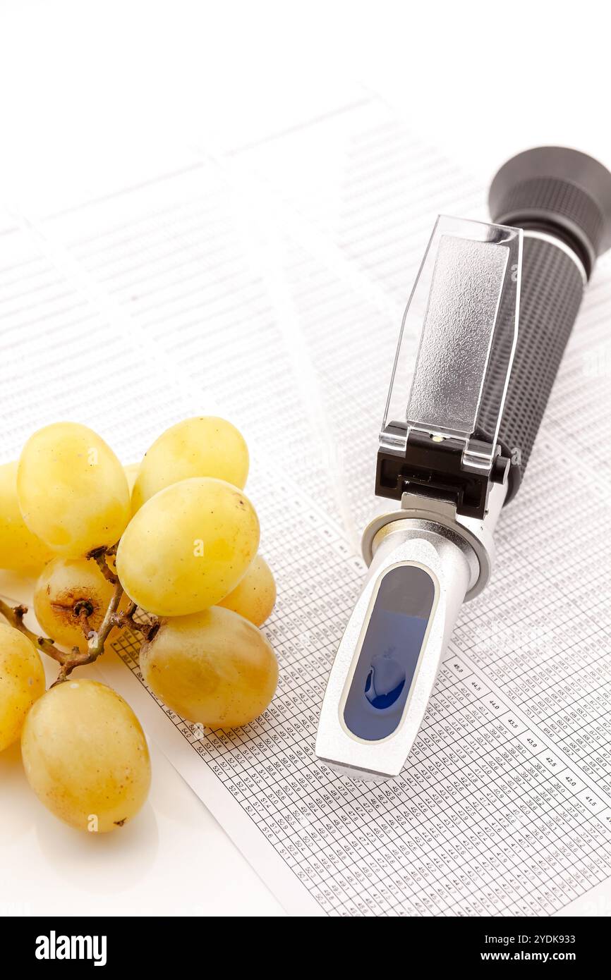 Rifrattometro ottico per misurare lo zucchero d'uva nella produzione di vino e di acquaviti. Messa a fuoco selettiva con profondità di campo ridotta. Foto Stock